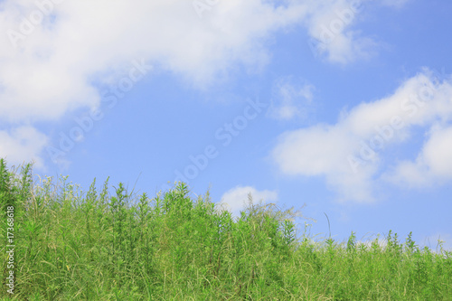 草原と青い空