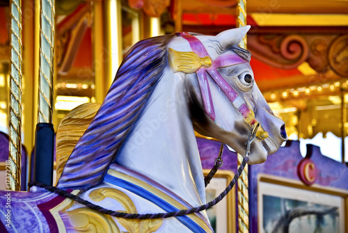 carousel photo