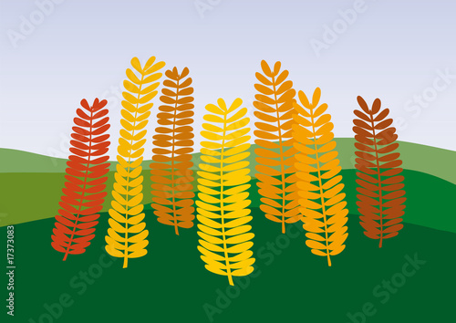 autunno