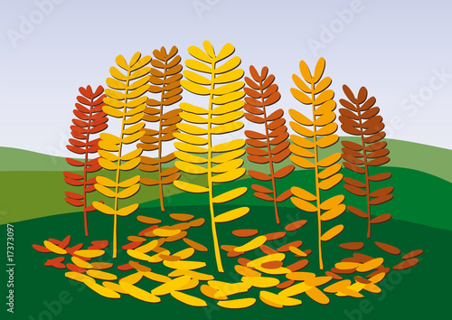 autunno