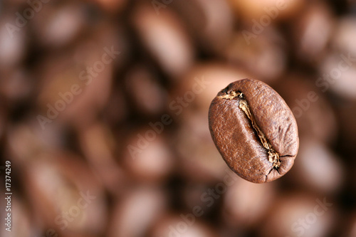 Close up view of the coffee grain