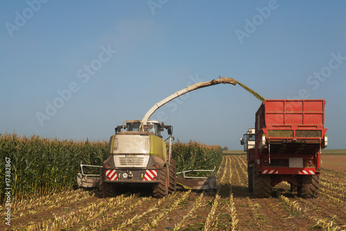 Chopping Corn for Silage 03 © Ingo Bartussek