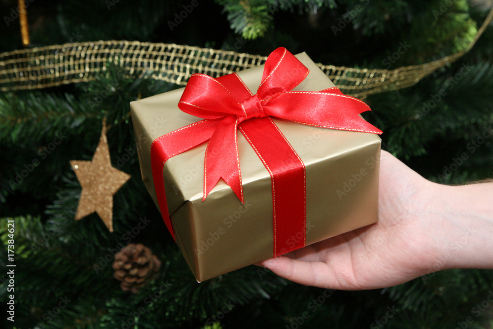 Hand holding christmas gift on christmas tree background Hand holding christmas gift on christmas tree background