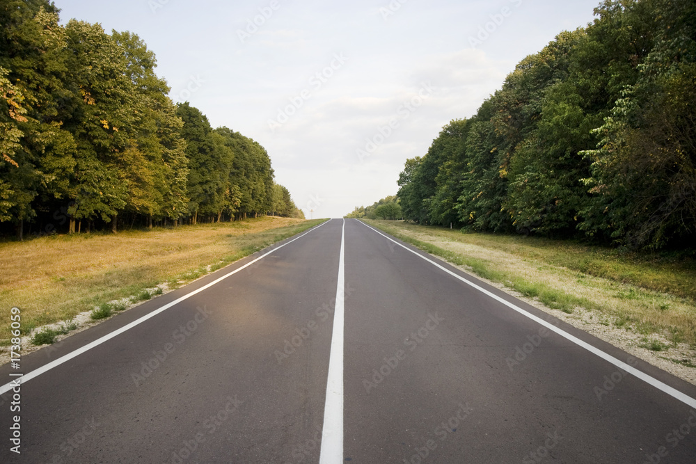 Fototapeta premium The Road