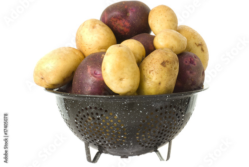 Organic Yukon Gold & Blue Potatoes photo