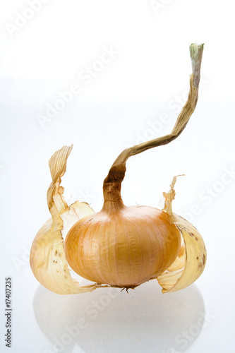 Ziebel mit Schale