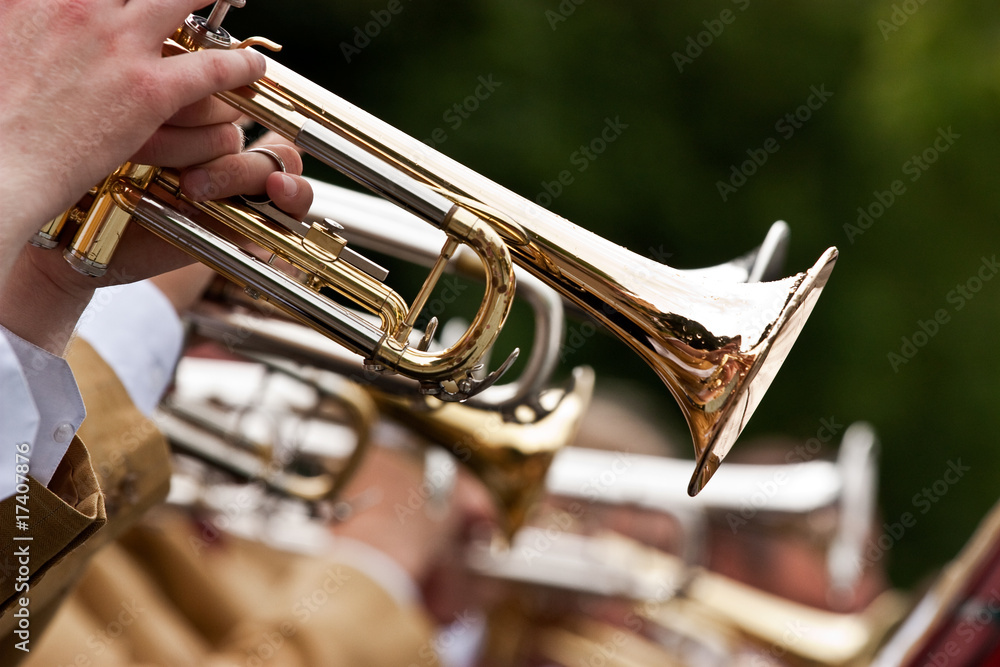 Obraz premium trumpet player