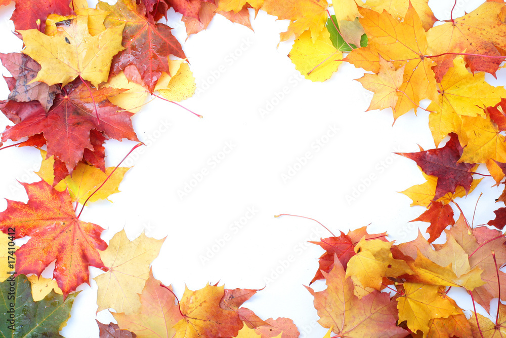 Fototapeta premium Colorful autumn frame made from leaves.