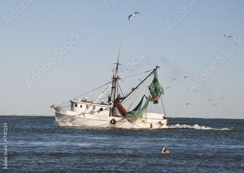 Shrimp Boat with Flock of Sea Gulls