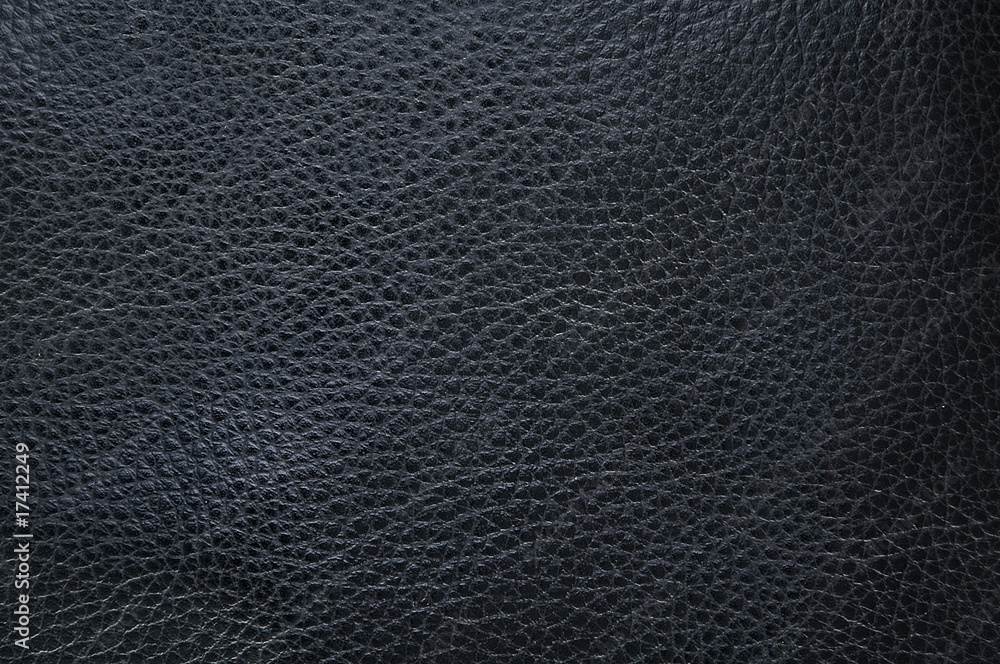 leather leather