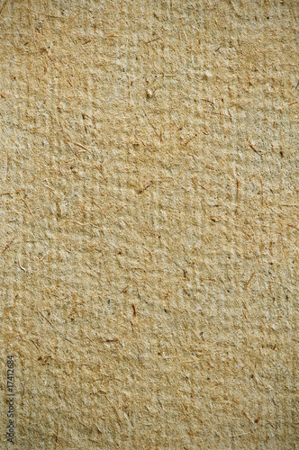 Wallpaper Mural papyrus Torontodigital.ca