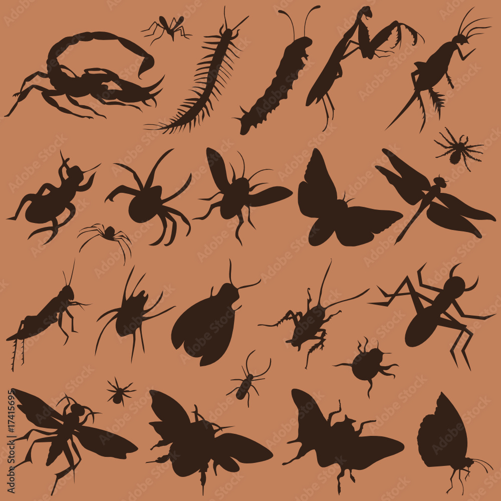 vector collection of bugs vector collection of bugs