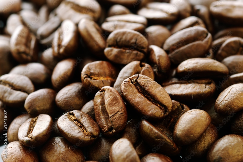 Coffee Beans Closeup Coffee Beans Closeup