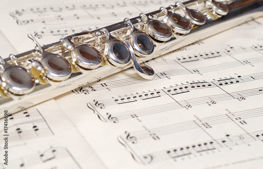 Obraz premium Wind Instrument