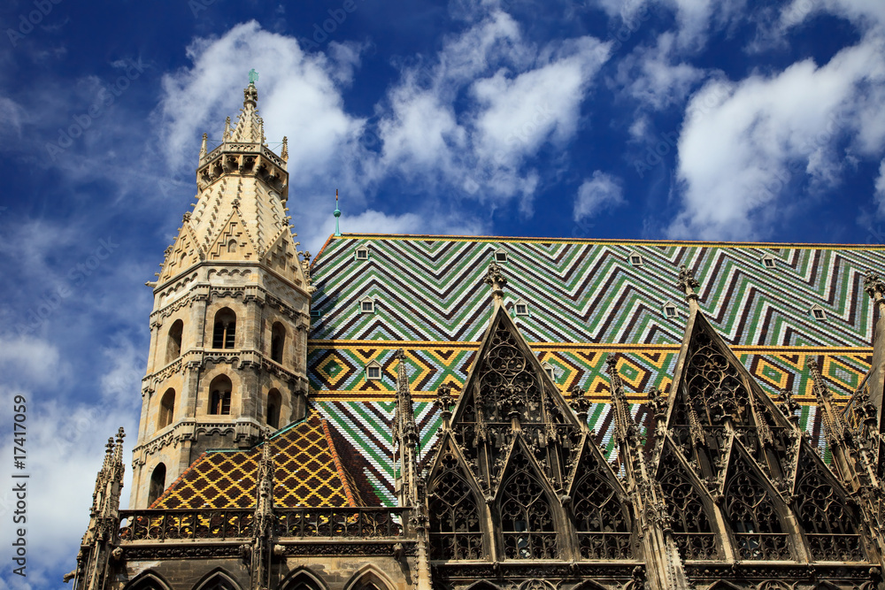 Obraz premium St. Stephan cathedral in Vienna, Austria, 2009