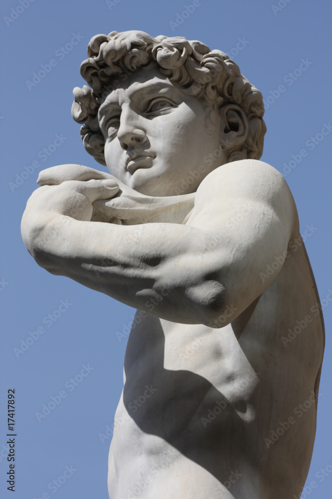 David by Michelangelo in Florence,Italy