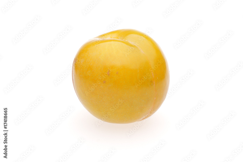 yellow plum on white background yellow plum on white background