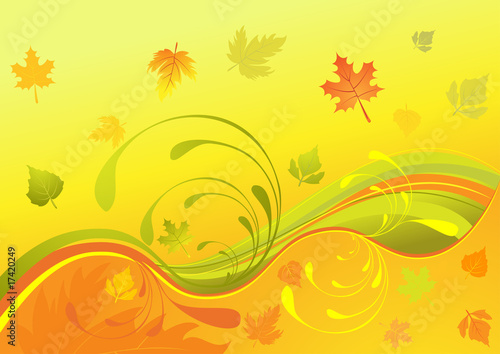 Autumn design  vector illustration