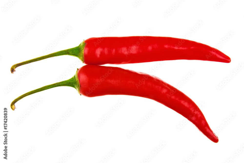 red hot chili peppers red hot chili peppers