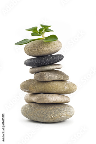 Green Life - balanced stone tower with plant