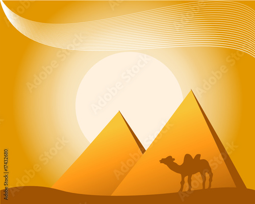 vector illustration of pyramids  camel on sunny background