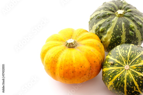 Pumpkin and halloween festival