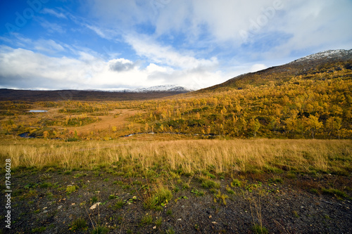 nordic landscape