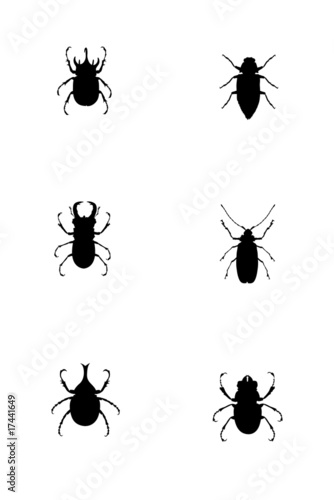 insect silhouette