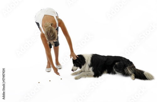 éducation du border collie - lui apprendre un parcours photo