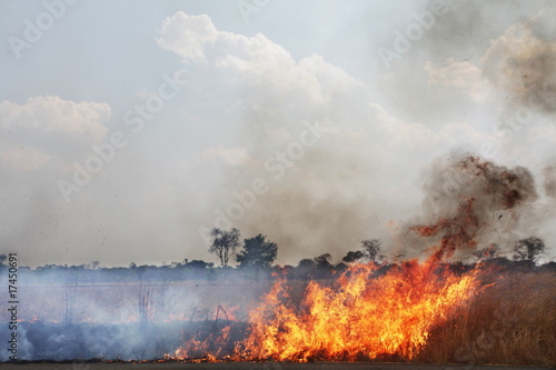 Fire in field