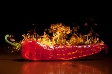 Papier peint photo Piments forts Piment rouge très piquant gros plan  © Andrei Rybachuk