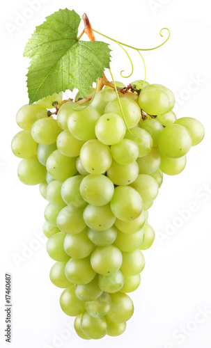 Grape in a white background