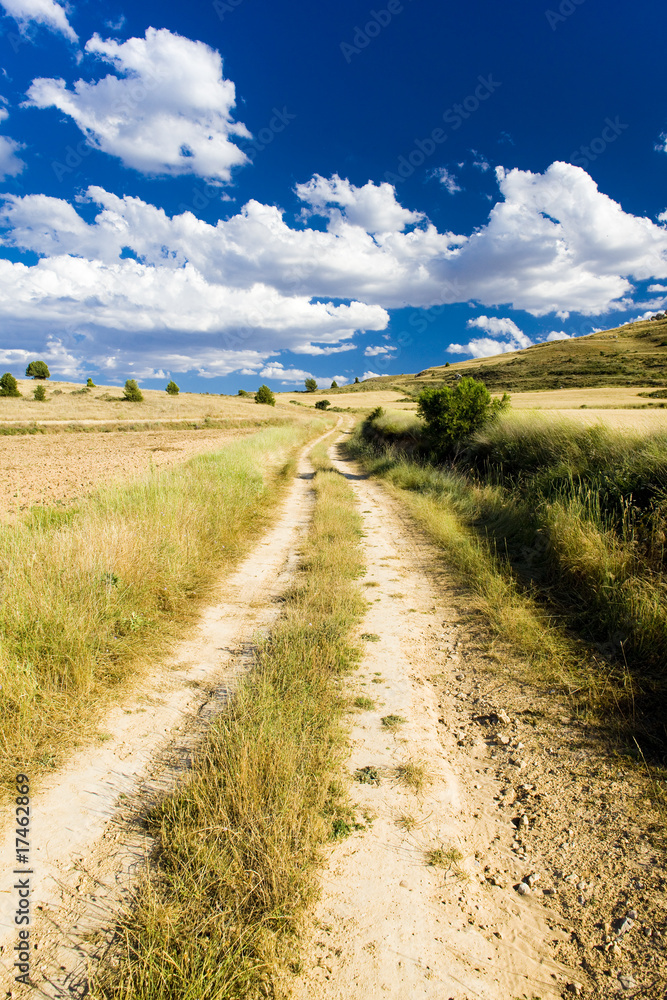 landscape with path, Soria Province, Castile and Leon, Spain