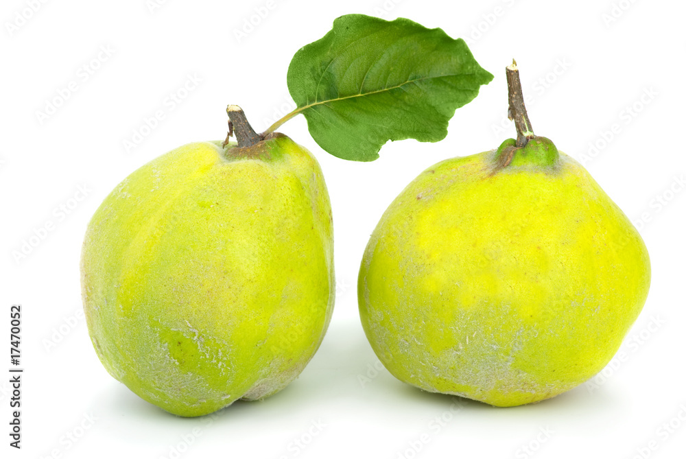 Two fresh quince fruits