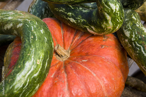 Sagra della zucca di Piozzo (Cn) photo