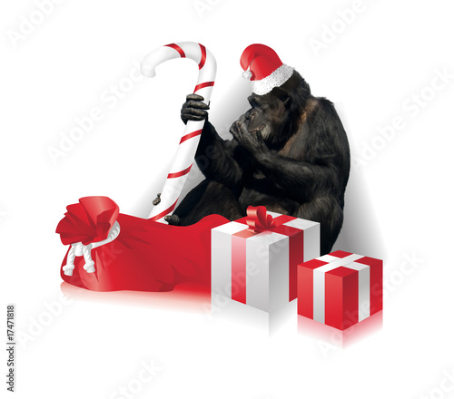 Funny christmas card with a monkey dressed as Santa