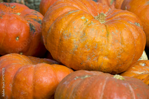 Sagra della zucca di Piozzo (Cn)