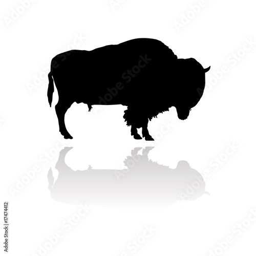 vector bison silhouette