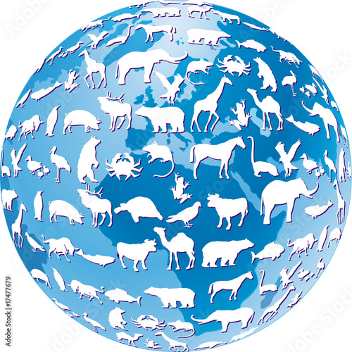 welt tierwelt