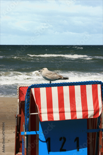 Möwe Auf Strandkorb