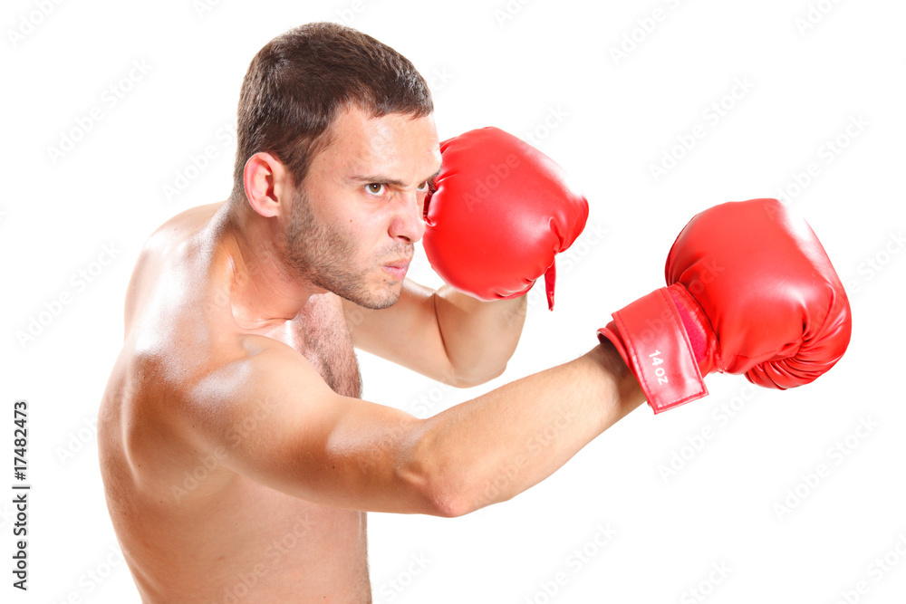 Boxer in action isolated on white background Boxer in action isolated on white background
