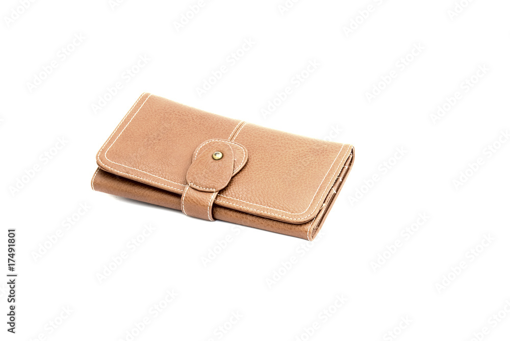The light brown purse isolated on the white background The light brown purse isolated on the white background