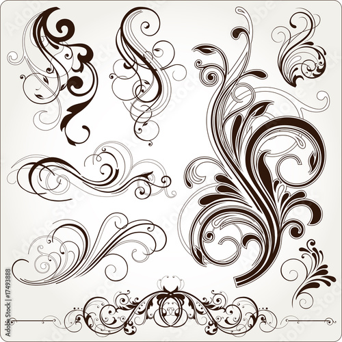floral design elements