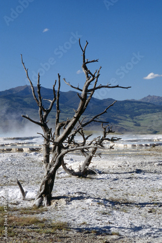 norris geyser basin