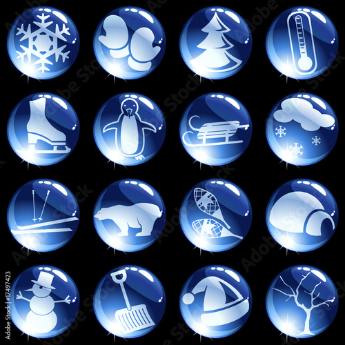 16 high-gloss winter themed buttons