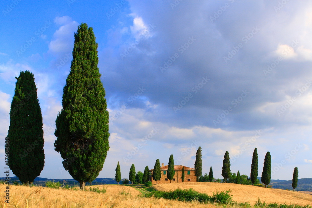 Zypressen mit Haus vor Wolkenhimmel,Toskana,Italien