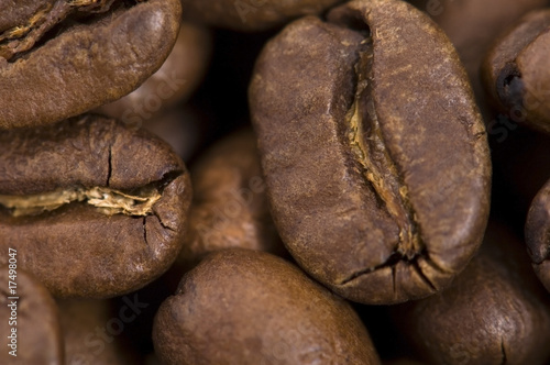 coffe beans photo
