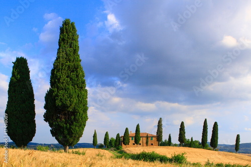 Zypressen mit Haus vor Wolkenhimmel Toskana Italien