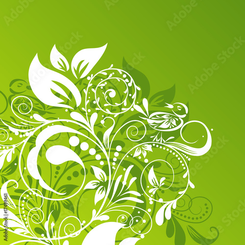 Floral abstract background, vector