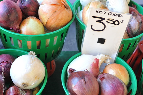 Des oignons pour la cuisine photo